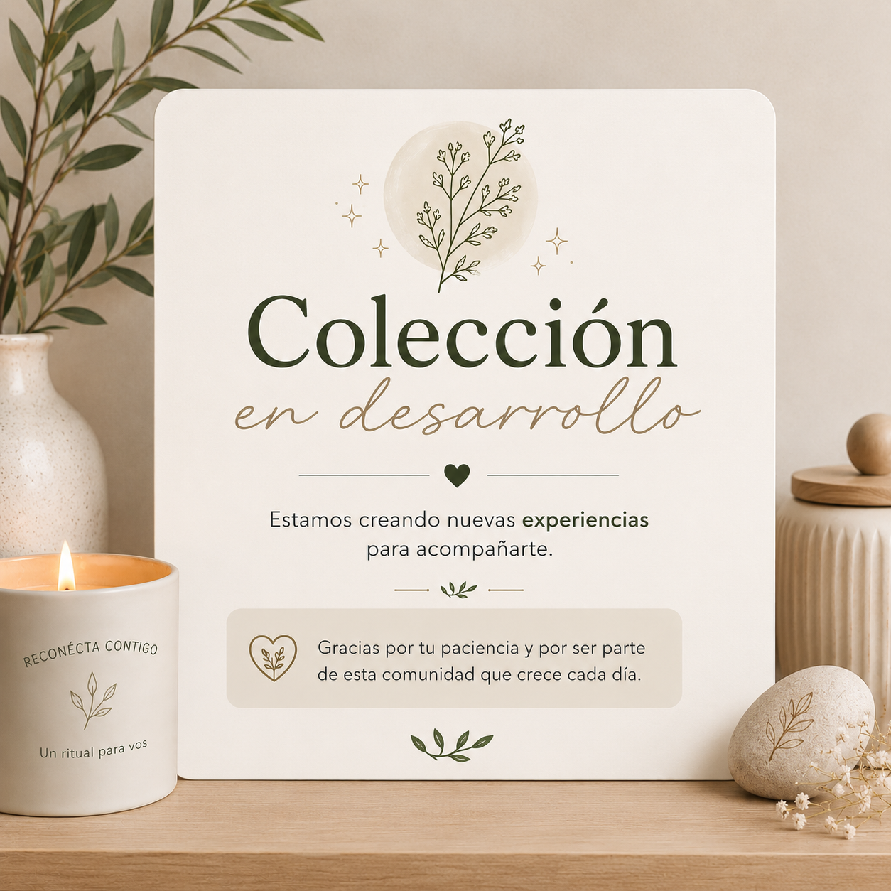 coleccion_en_desarrollo